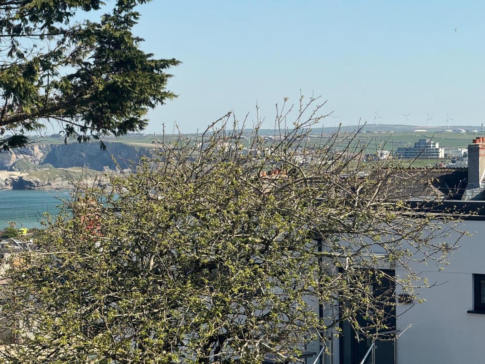 Shore Lodge New Quay Exterior foto